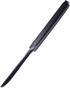 Clipped_image_20241023_192158