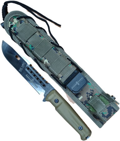 Clipped_image_20241015_105120