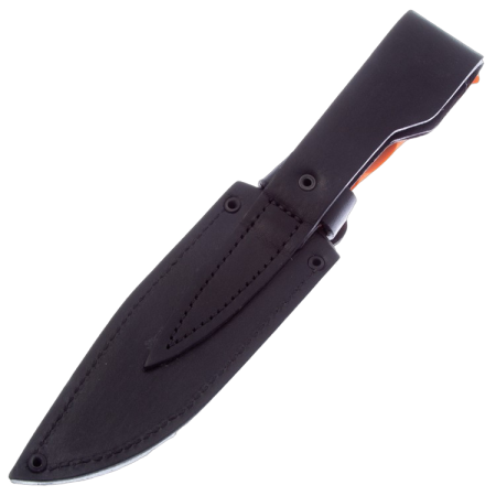 161172.2048x2048-PhotoRoom.png-PhotoRoom