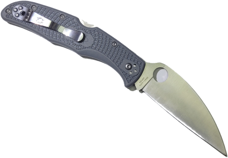 Clipped_image_20241023_192307