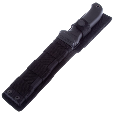 image-PhotoRoom.png-PhotoRoom - 2023-10-13T211528.520