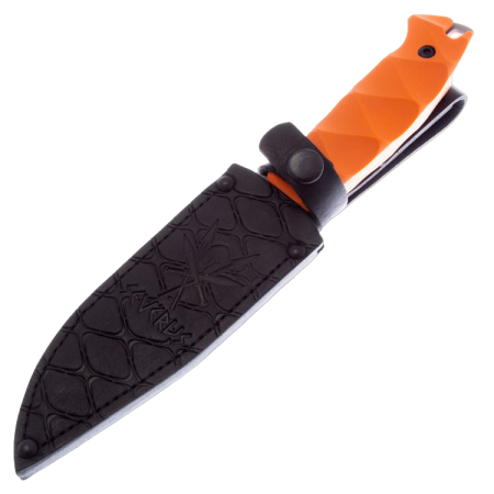 161173.2048x2048-PhotoRoom.png-PhotoRoom