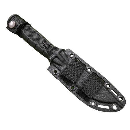 image-PhotoRoom.png-PhotoRoom - 2023-10-12T204042.664