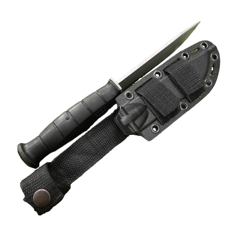 image-PhotoRoom.png-PhotoRoom - 2023-10-12T203431.626